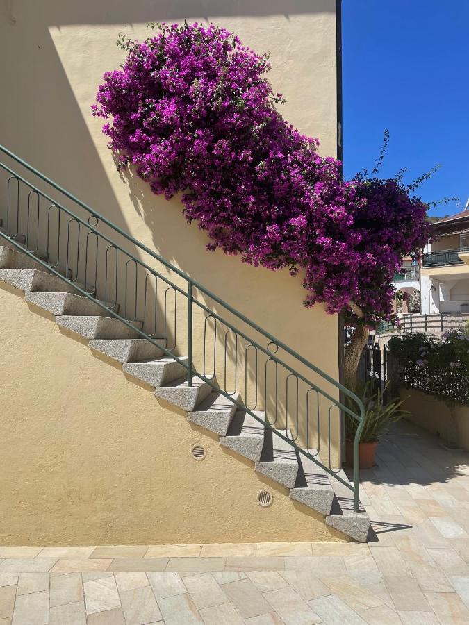 B&B L'Albero Di Melograno Seccheto Zewnętrze zdjęcie